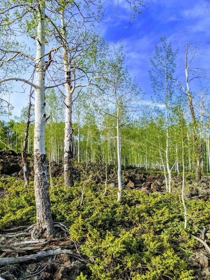 Pinewoods Resort And Rv Park Duck Creek Village Екстер'єр фото